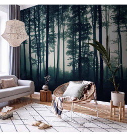 Fototapete - Dark Forest