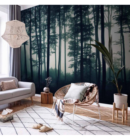Fototapeet - Dark Forest