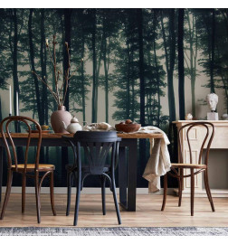 Fototapeet - Dark Forest