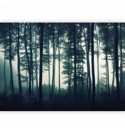 Fototapete - Dark Forest