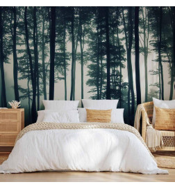 Wall Mural - Dark Forest