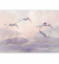 Fototapeta - Flying Swans