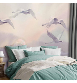 Fototapet - Flying Swans