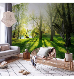 Wall Mural - Sunny May Day