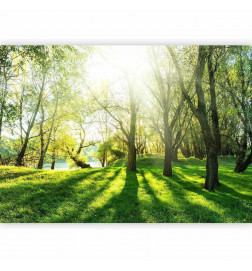 Fototapet - Sunny May Day