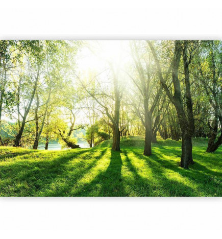 Foto tapete - Sunny May Day