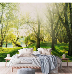 Wall Mural - Sunny May Day