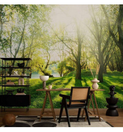 Wall Mural - Sunny May Day