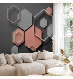 Mural de parede - Hexagon Plan