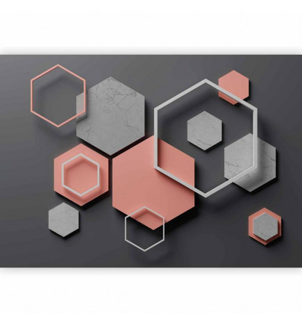 Fototapeta - Hexagon Plan