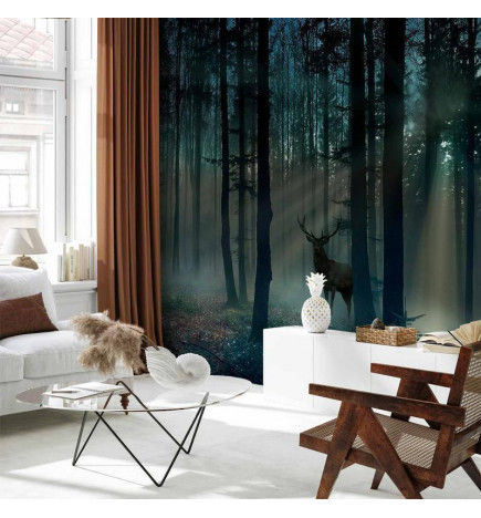 Fototapetti - Mystical Forest - Third Variant