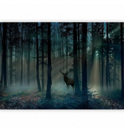 Fototapetas - Mystical Forest - Third Variant