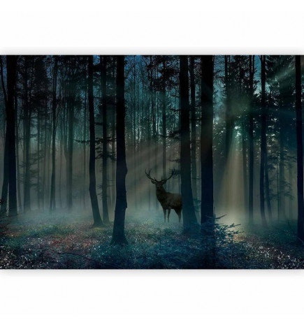 Fototapetti - Mystical Forest - Third Variant