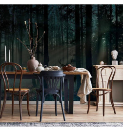 Fotobehang - Mystical Forest - Third Variant