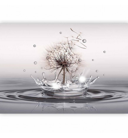 Wall Mural - Wind Drops