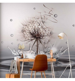 Fototapeta - Wind Drops