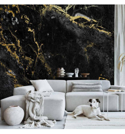 Carta da parati - Black Elegance