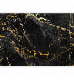 Wall Mural - Black Elegance