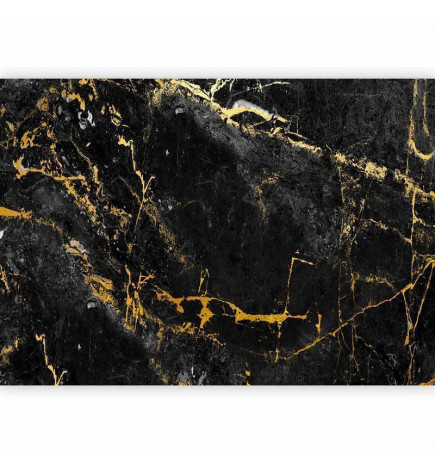 Fototapet - Black Elegance