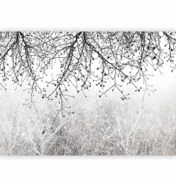 Papier peint - Natural Brightness