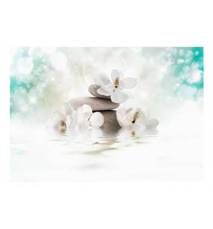 Valokuva kivistä ja valkoisista kukista - Arredalacasa