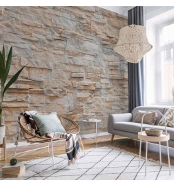 Mural de parede - Stony Gracefulness