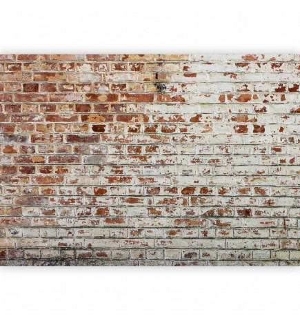 Fototapet - Walls of Memory