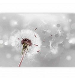 Fototapeta - Grasping the Invisible