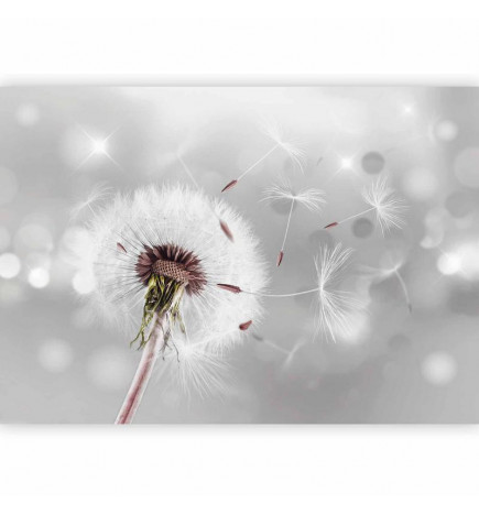 Foto tapete - Grasping the Invisible