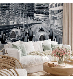 Wall Mural - Speed of Sound