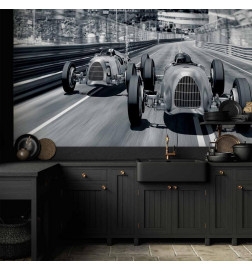 Wall Mural - Speed of Sound