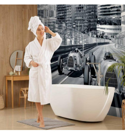 Wall Mural - Speed of Sound