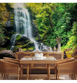 Wall Mural - Wonder of nature