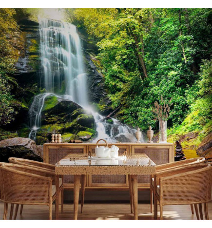 Mural de parede - Wonder of nature