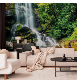 Wall Mural - Wonder of nature