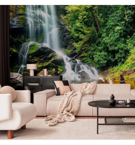 Wall Mural - Wonder of nature