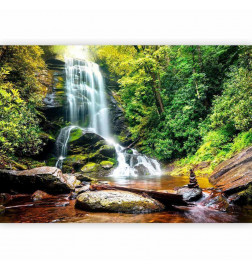 Wall Mural - Wonder of nature