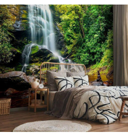 Mural de parede - Wonder of nature