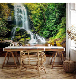 Wall Mural - Wonder of nature