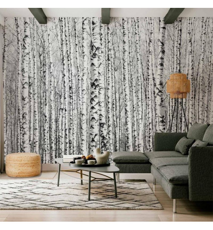 Fototapeet - Birch forest