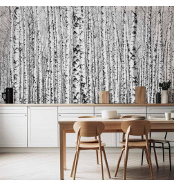 Mural de parede - Birch forest