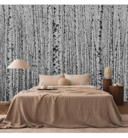 Wall Mural - Birch forest