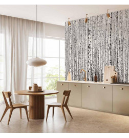 Fotobehang - Birch forest
