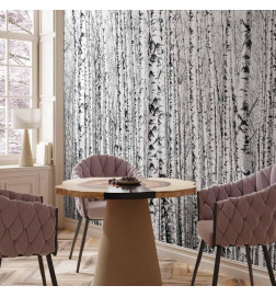 Fototapeet - Birch forest