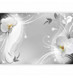 Fototapeet - Charming orchid