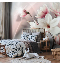 Fototapete - White magnolias