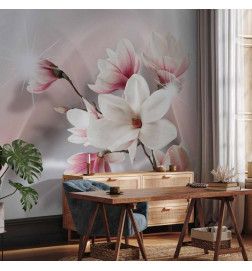 Fototapete - White magnolias