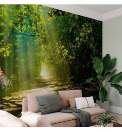 Wall Mural - Road in Sunlight