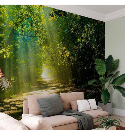 Fotobehang - Road in Sunlight