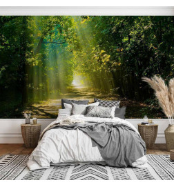 Fotobehang - Road in Sunlight